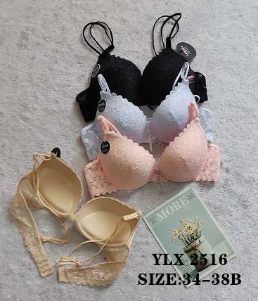 YLX2516
