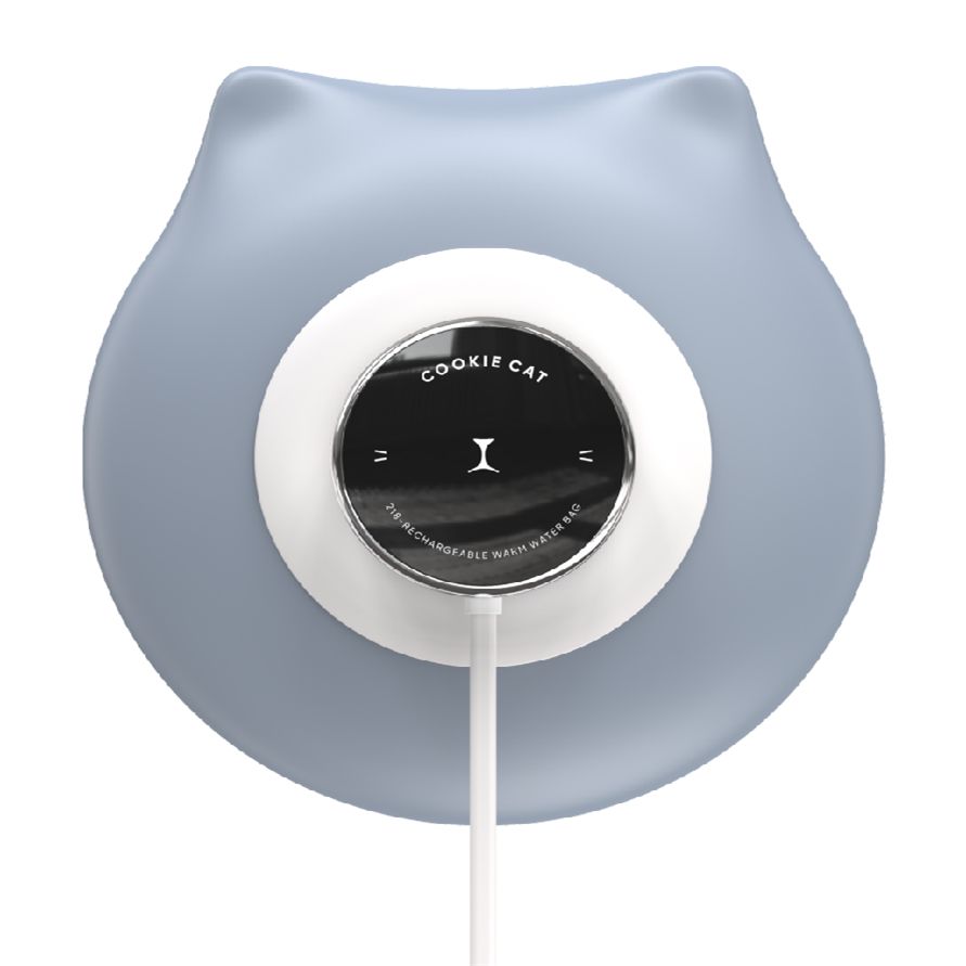 Rechargeable hot water bag