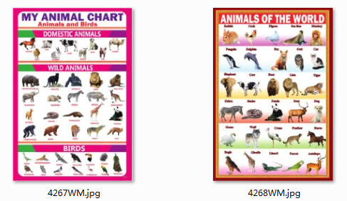 Full-width wall paintings, stickers, character recognition paintings, letters, numbers, animals, 100x70cm, entering the Red Mall detail image 1