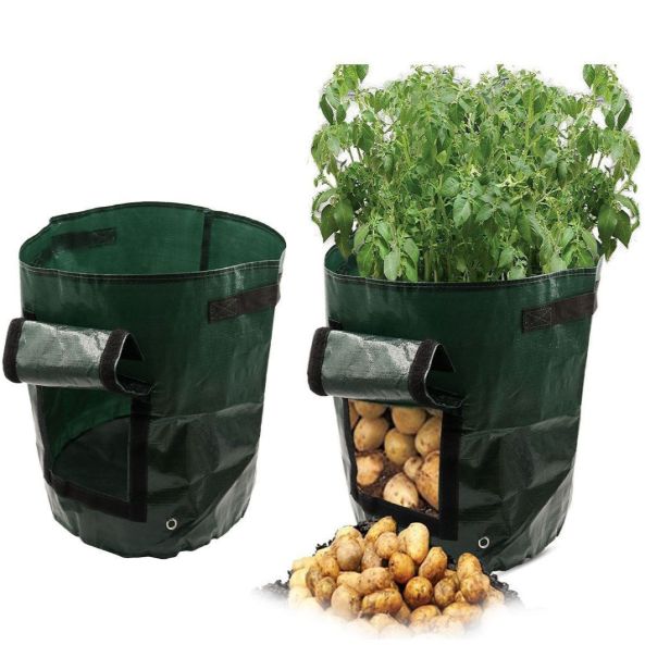 Plastic plant ornament
