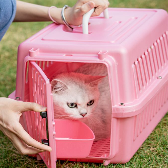 Pet air shipping box cat small car cage cat milk dog carry-out transport cage aircraft cage wholesale details Picture