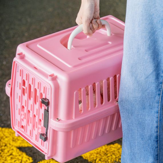 Pet air shipping box cat small car cage cat milk dog carry-out transport cage aircraft cage wholesale Specification drawing
