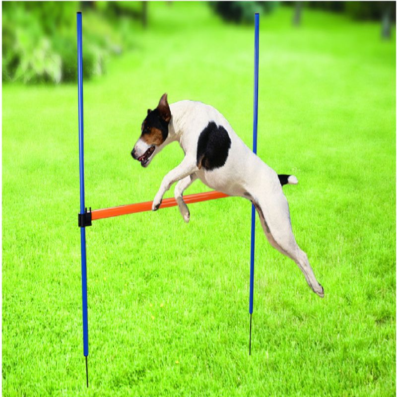 亚马逊新款即插即用式宠物玩具训狗跨栏 狗跳栏敏捷训练器详情图2