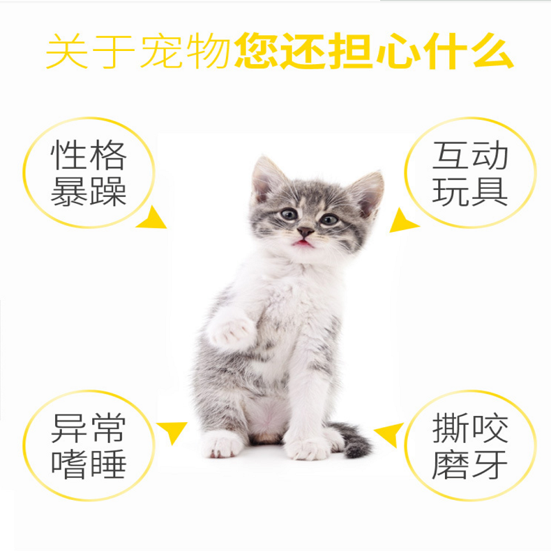 亚马逊宠物用品电动猫玩具派利鼠 逗猫器 趣味好玩逗猫棒游乐盘详情图6