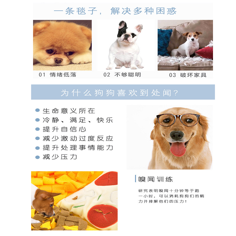 Cross Border New Pet Training Removable And Washable Sniffing Mat For Easy Pet Storage Blanket Pizza Platter Treasure Hunt Blanket full figure