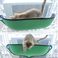 现货亚马逊 猫咪吸盘窗台窝 半圆猫窝 晒太阳带猫垫 猫玩具产品图