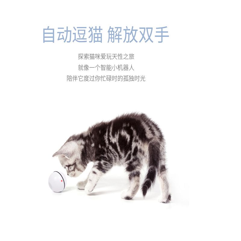 Upgraded Usb Electric Cat Led Rolling Flash Ball Laser Smart Cat Toy Automatic Rolling Ball details Picture