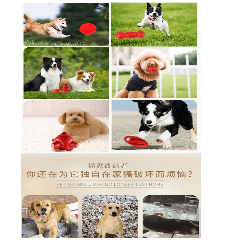 Cross-Border Amazon's New Tpr Teething Dog Toy Nibble Floating Pet Toy Frisbee Pet Training Toy details Picture