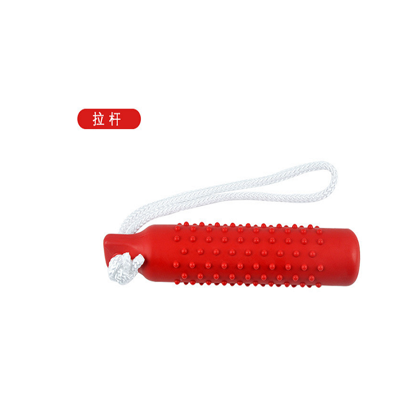 Cross-Border Amazon's New Tpr Teething Dog Toy Nibble Floating Pet Toy Frisbee Pet Training Toy Item Picture
