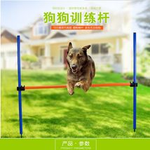 亚马逊新款即插即用式宠物玩具训狗跨栏 狗跳栏敏捷训练器