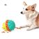亚马新款狗狗玩具水上漂浮宠物牙刷带响声啃咬磨牙漏食球玩具白底实物图