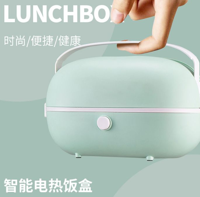 Mini electric lunch box