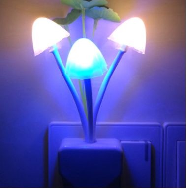 New light control a developed mushroom night light