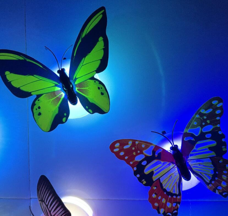 Creative seven-color luminous butterfly night light detail image 2
