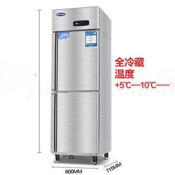 银都二门立式单温冰箱双门冰柜商用冰箱冷藏保鲜厨房专用