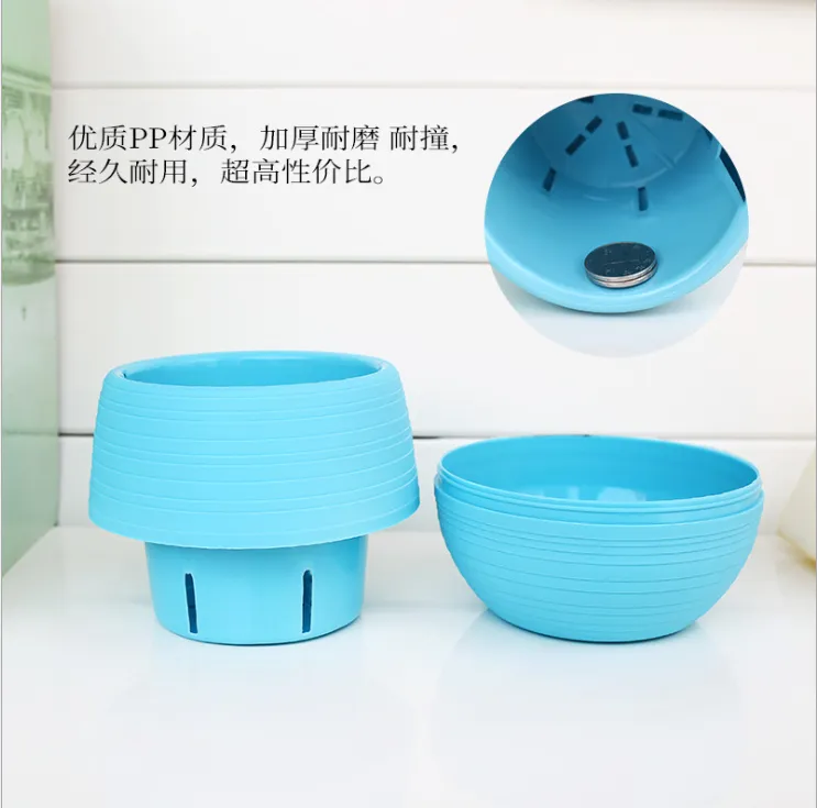 Small flowerpots for succulent plants detail image 4