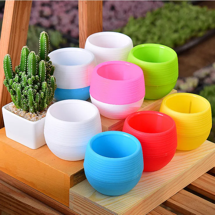Small flowerpots for succulent plants detail image 5