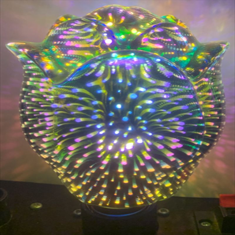 3d创意玫瑰花造型灯丝灯 led护眼恒流装饰灯温馨暖光小夜灯5w氛围灯