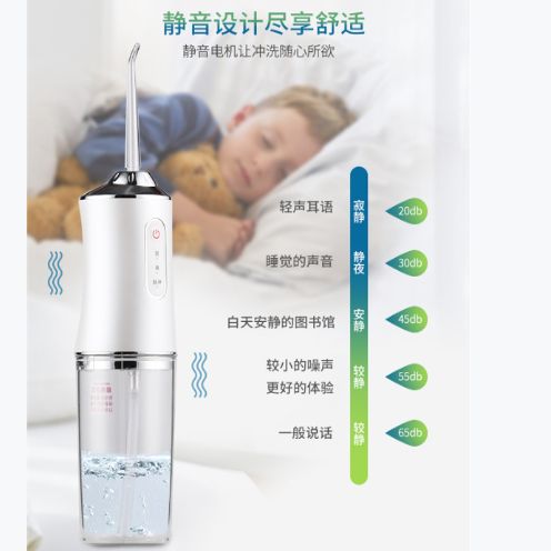 Portable dental cleaner