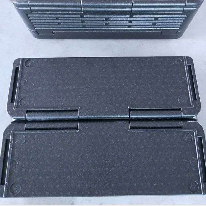 Outdoor picnic incubator Car storage refrigerator
