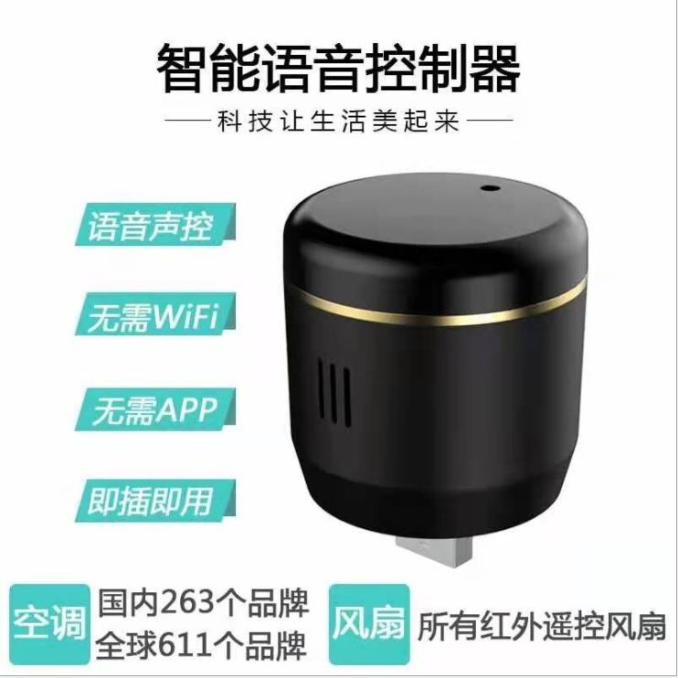 New mini smart voice controller