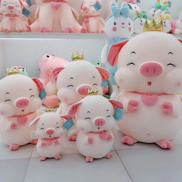 Manufacturers direct plush doll angel pig pig Baohua toy firm