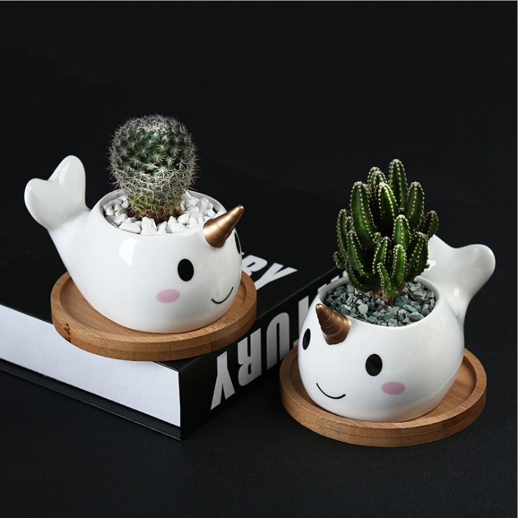 Creative table plants decorative ceramic planter