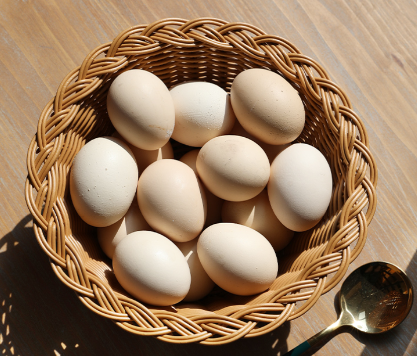 厂家  环保塑料  编织果篮  果盘  桌面收纳零食筐      详情图3