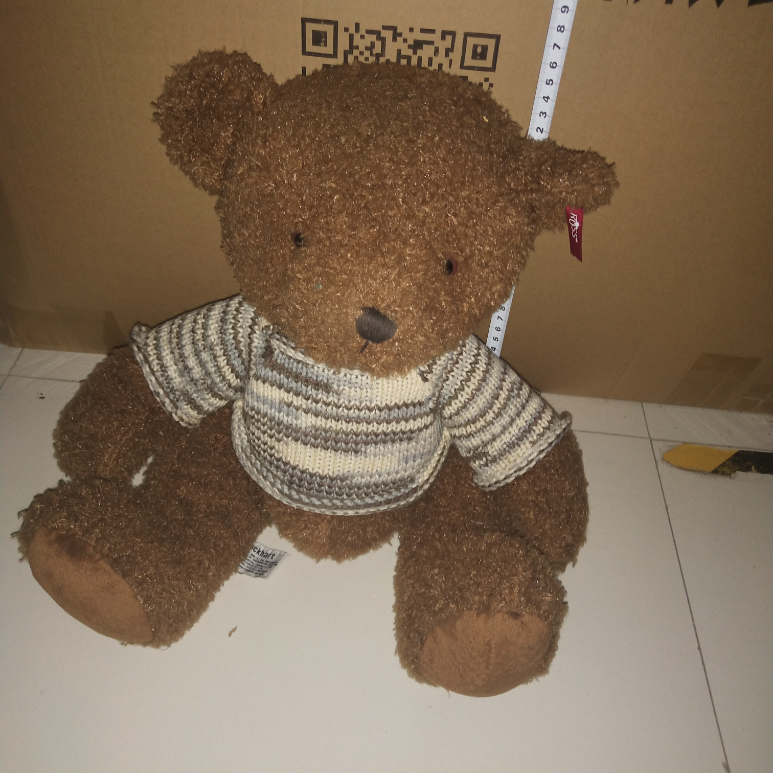 大耳扣 坐高35cm