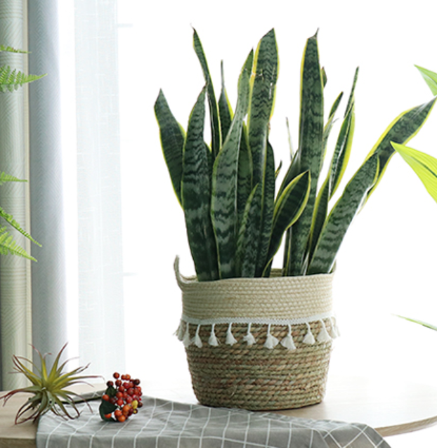 藤编  草编花篮   北欧 手工编织花盆客厅阳台装饰  落地盆栽 绿植 套盆篮子详情图6