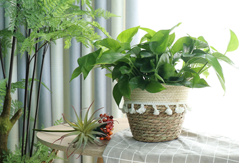 藤编  草编花篮   北欧 手工编织花盆客厅阳台装饰  落地盆栽 绿植 套盆篮子详情图7