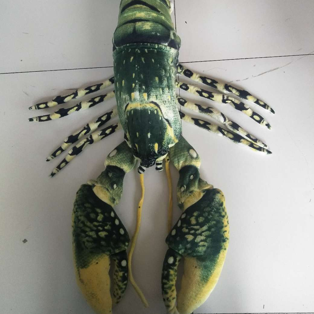 90cm龙虾皮