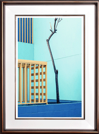 瓷意 溢夏细节图