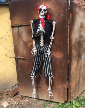 海盗骨架产品图