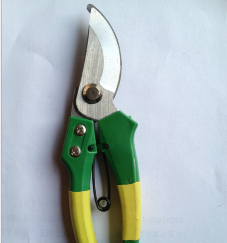 Pruning shears, garden scissors detail image 2