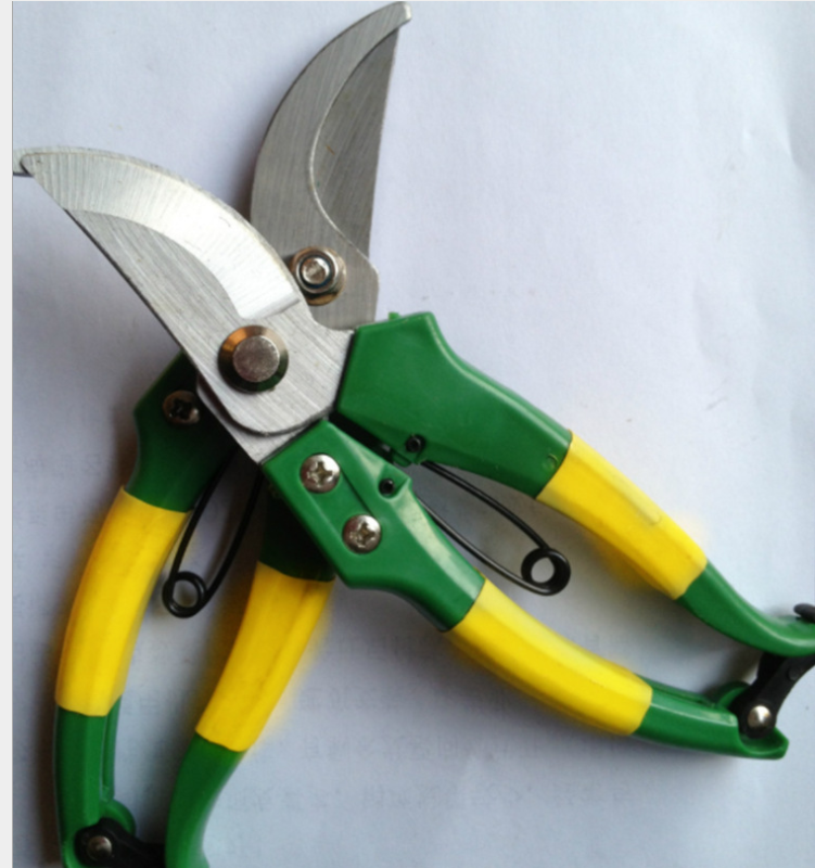 Pruning shears, garden scissors detail image 5