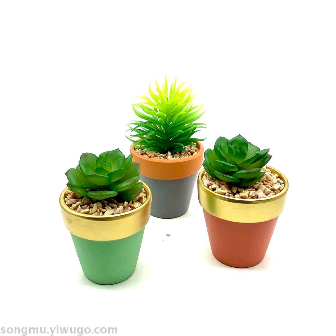 小多肉植物花盆摆件 厂家直销 松木56款