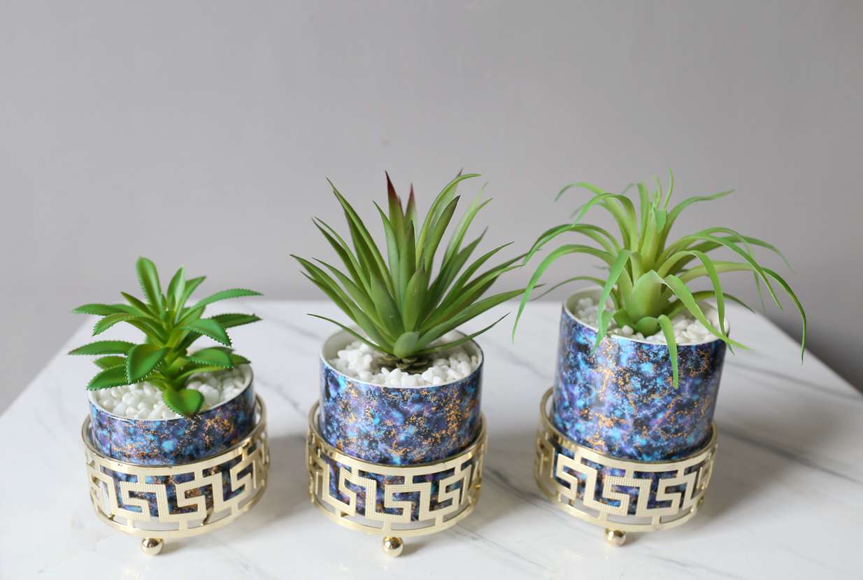Artificial succulent plant potted plants, bonsai, home decoration ornaments Application Scenario