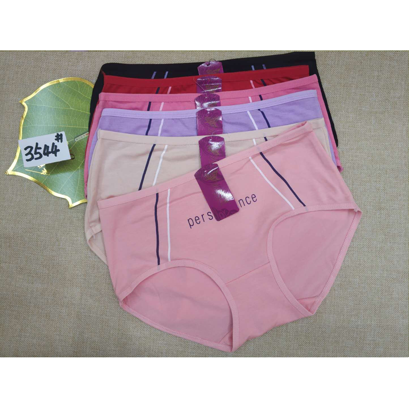 New Underwear 10 full figure