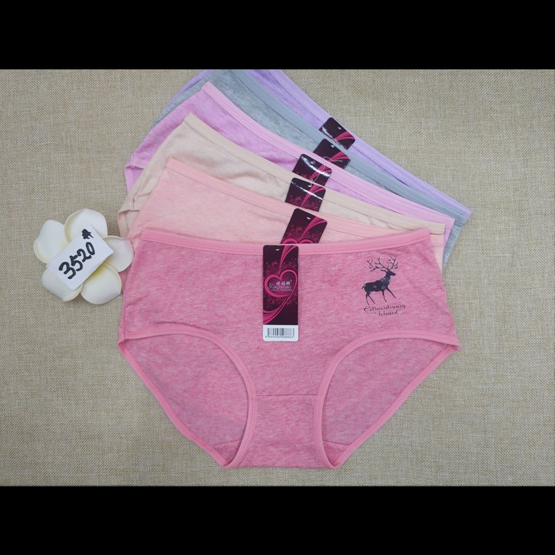 New Underwear 07