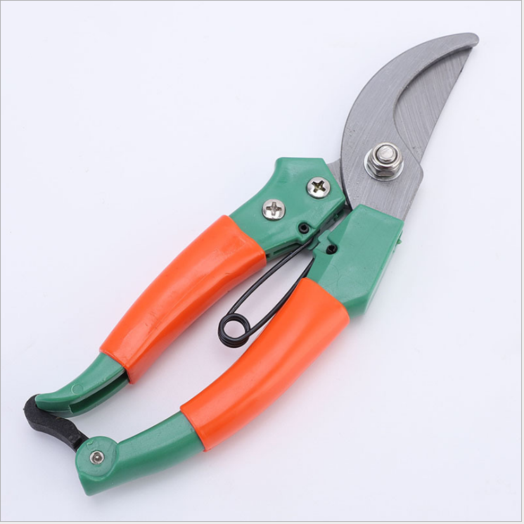Fruit tree pruning scissors detail image 4