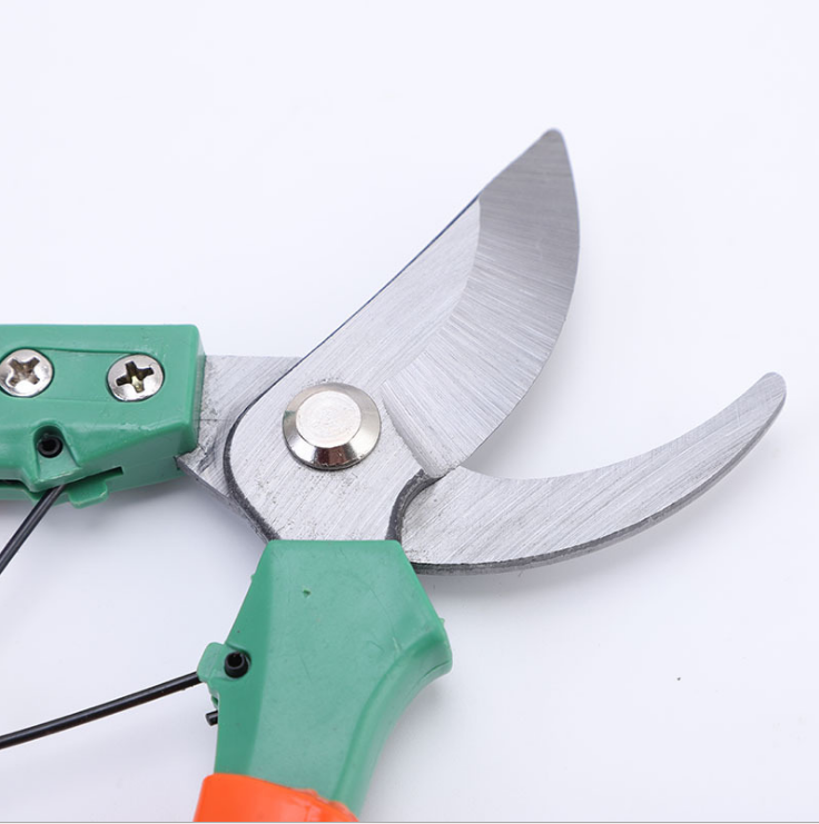Fruit tree pruning scissors detail image 3