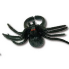 Wholesale of 2 sets of Spider Ring 3 toys for Halloween decoration