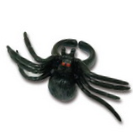 Wholesale of spider ring toys for Halloween decorations, 1 piece per pack