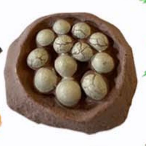 530B开窗盒装多趣味仿真实色小恐龙细节图