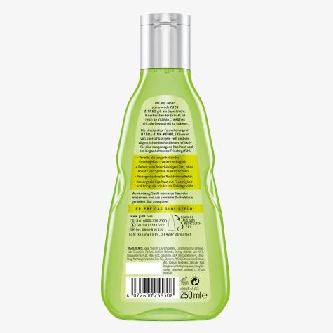 GUHL 古尔 轻盈抗油脂洗发水 250ml产品图