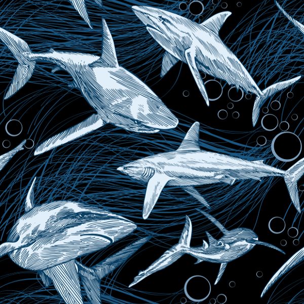 900D弹丝PU 海底世界系列 数码印花 一米起印 箱包等面料图