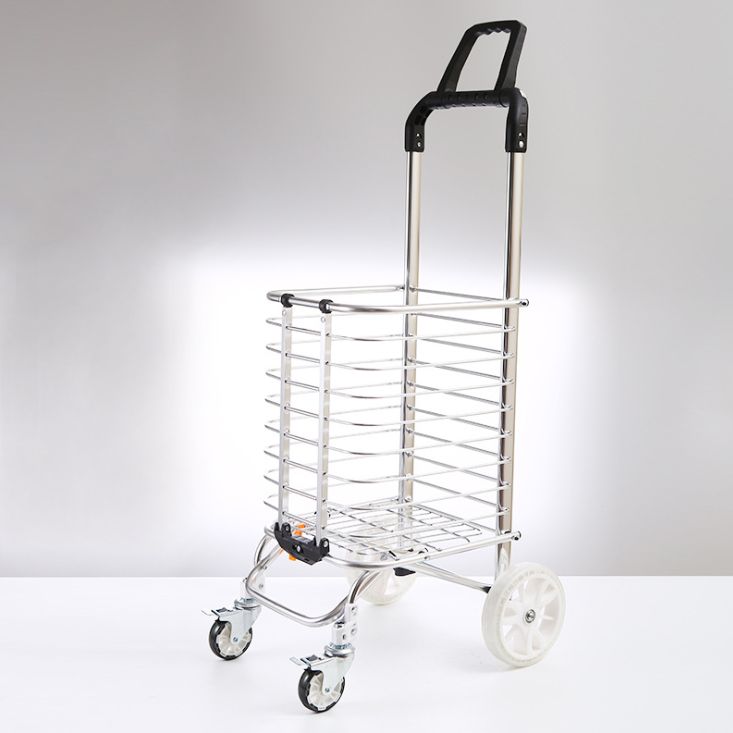 Double handle shopping cart home grocery cart