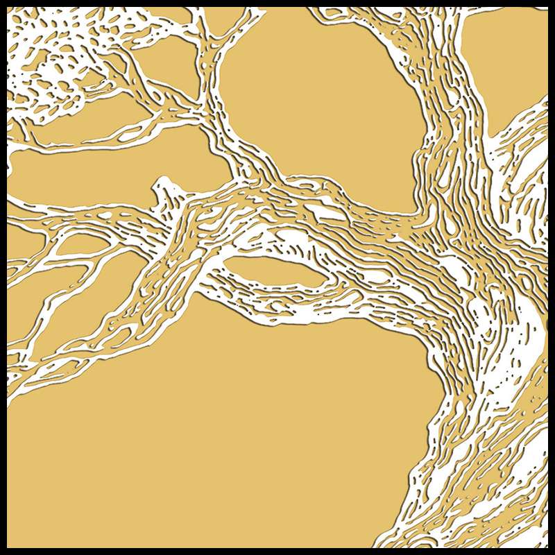 微雕正方形4-15产品图