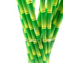 Color printing full color paper straw